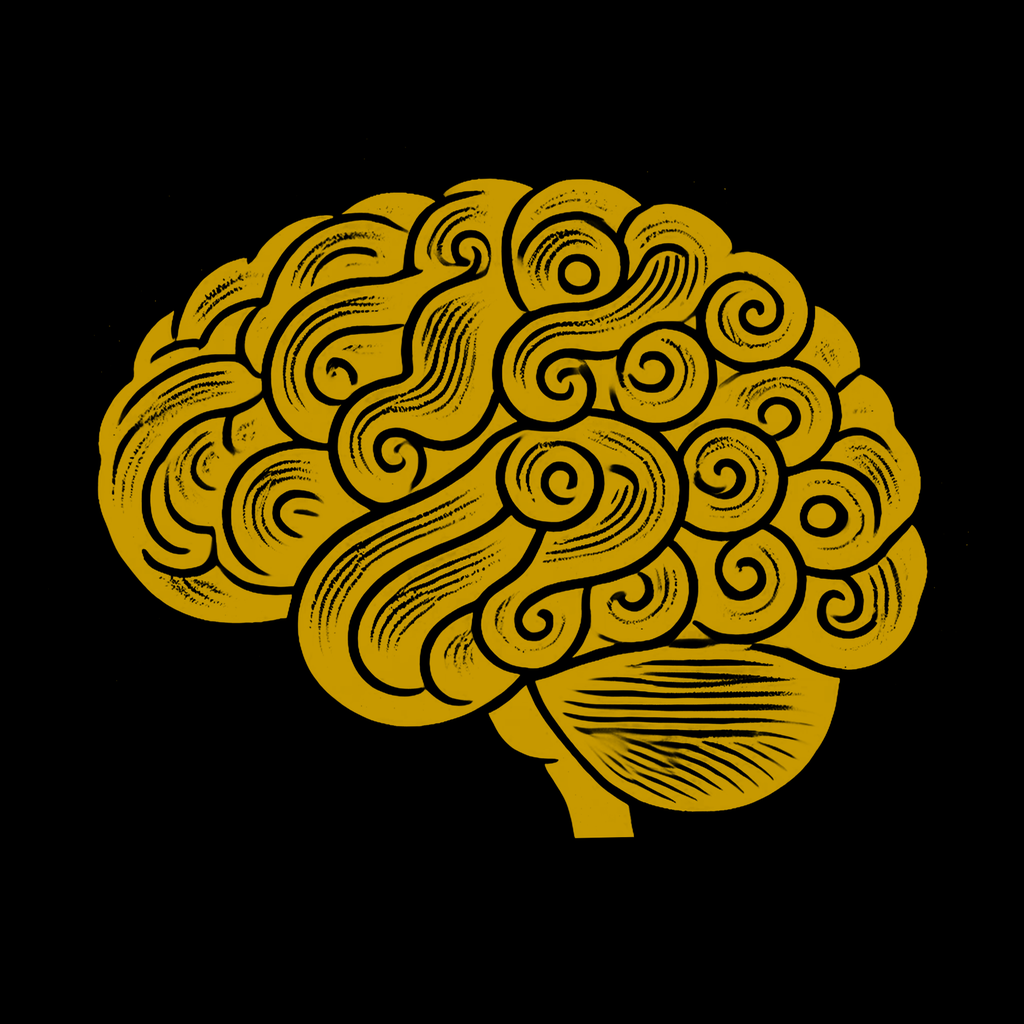 The Learning brain